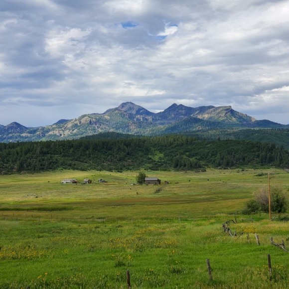 Meet your Posher, Designers4Less - Picture 4 of 4